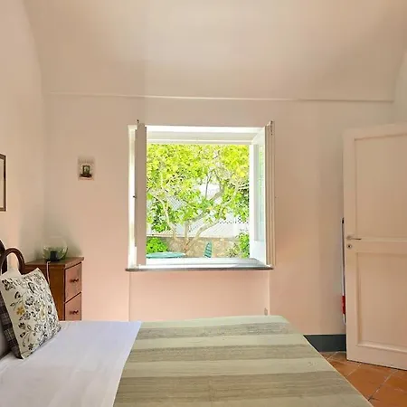 Lemon House Apartment