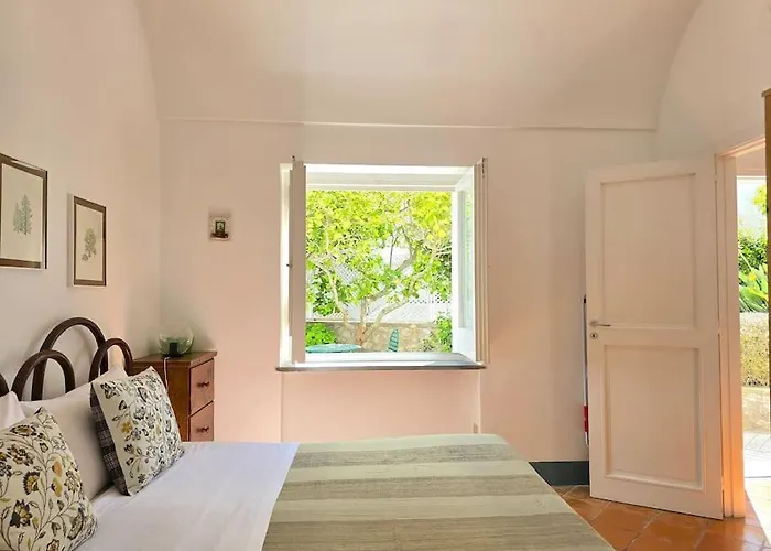 Lemon House Apartment